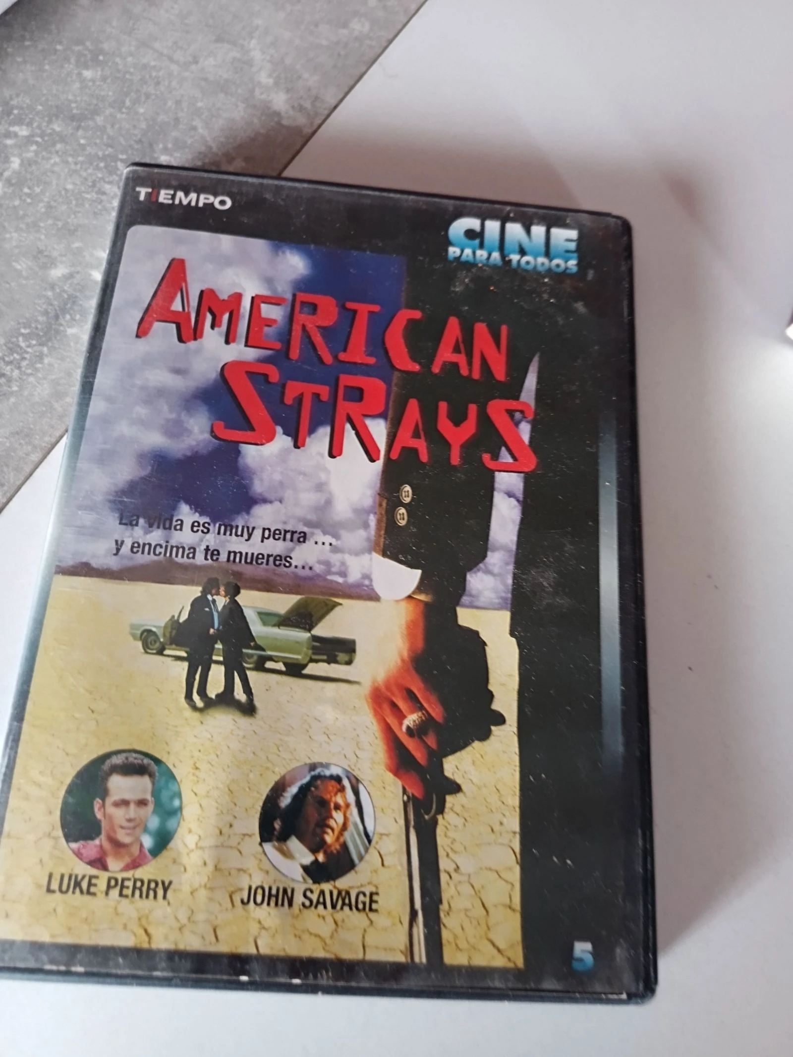 American Strays, 2003 DVD – photo 2